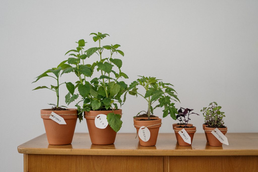 Flowerpots