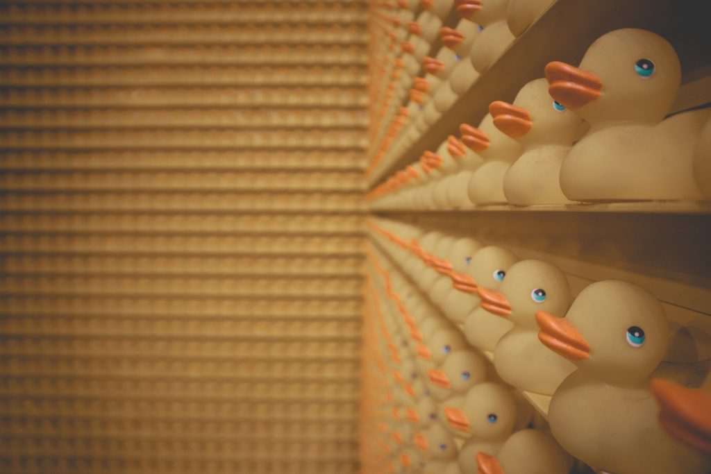 Rubber Ducks